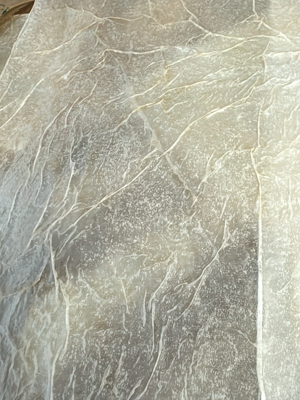 Homemade Rice Paper Sheets - Picture 11 of 11
